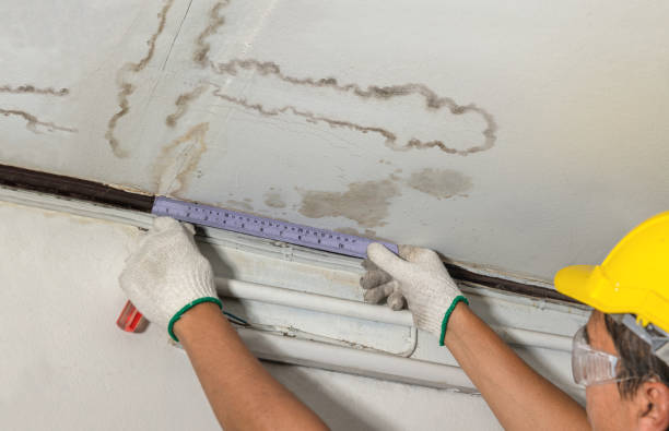 Reliable Structural Drying contractor in New Straitsville, OH by Water Damage Irwin